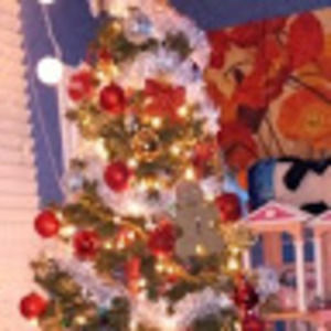 Meet your Posher, Ruth